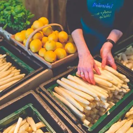 酒店 Bohrerhof Feldkirch (Hartheim)