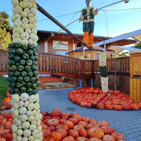 酒店 Bohrerhof Feldkirch (Hartheim)