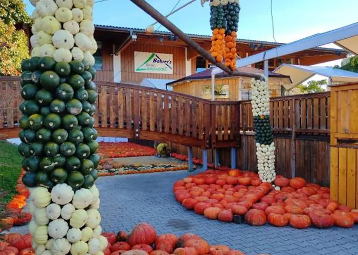 Hotel Bohrerhof Feldkirch (Hartheim)